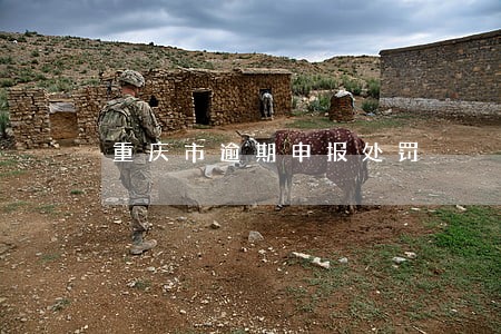 重庆市逾期申报处罚 重庆市逾期申报处罚