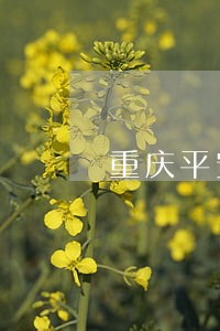 重庆平安银行只还本金