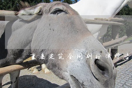 重庆建筑合同纠纷律师咨询 重庆建筑合同纠纷律师咨询