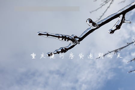 重庆建行房贷逾期两天 重庆建行房贷逾期两天