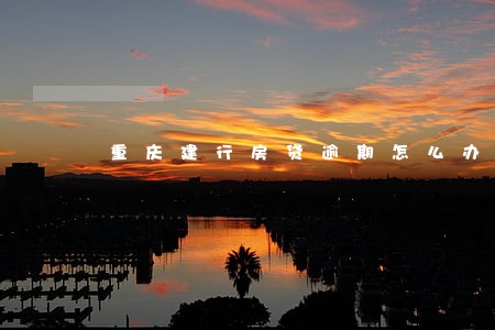 重庆建行房贷逾期怎么办 重庆建行房贷逾期怎么办
