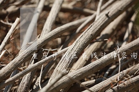 重庆开州区在线法律咨询 重庆开州区在线法律咨询