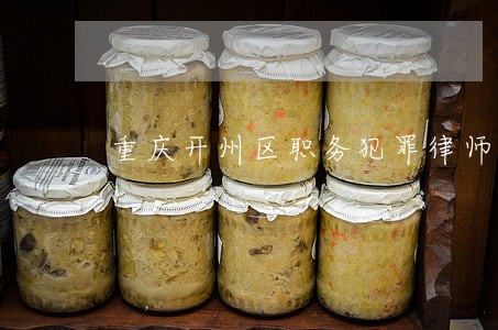 重庆开州区职务犯罪律师 重庆开州区职务犯罪律师