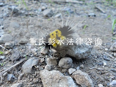 重庆彭水法律咨询