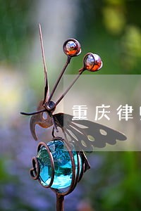重庆律师代查房产信息 重庆律师代查房产信息