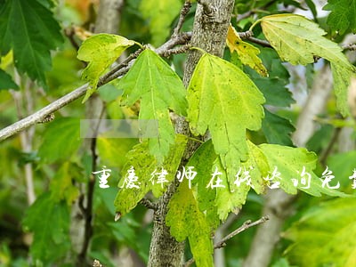 重庆律师在线咨询免费 重庆律师在线咨询免费