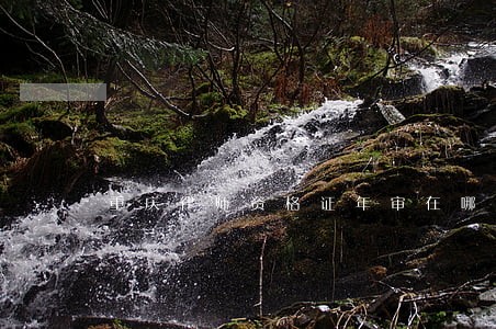 重庆律师资格证年审在哪里 重庆律师资格证年审在哪里