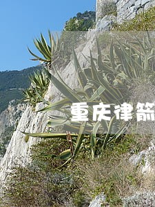 重庆律箭法律咨询