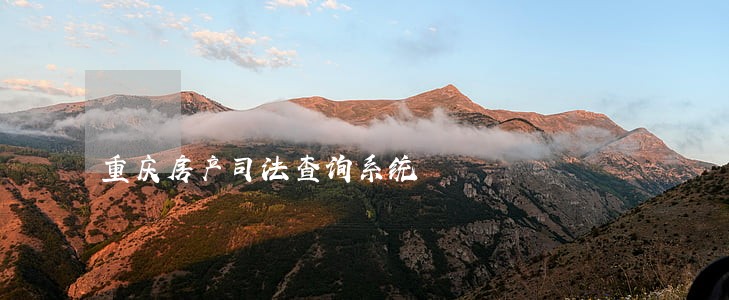 重庆房产司法查询系统 重庆房产司法查询系统