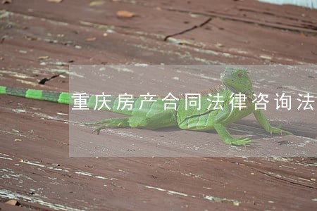 重庆房产合同法律咨询法斗士 重庆房产合同法律咨询法斗士