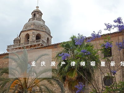 重庆房产律师哪里最好