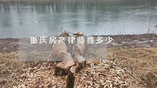重庆房产律师费多少 重庆房产律师费多少