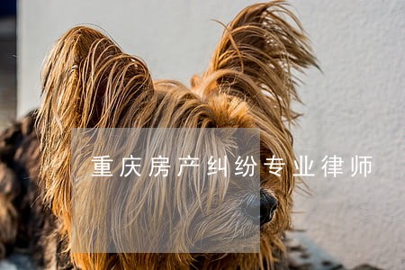 重庆房产纠纷专业律师 重庆房产纠纷专业律师