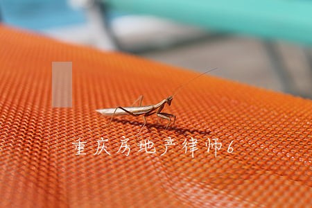 重庆房地产律师6