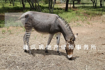 重庆房地产律师事务所 重庆房地产律师事务所