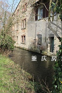重庆房地产律师价格