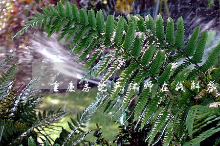 重庆房地产律师在线解答 重庆房地产律师在线解答