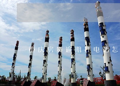 重庆房贷逾期打电话怎么解决 重庆房贷逾期打电话怎么解决