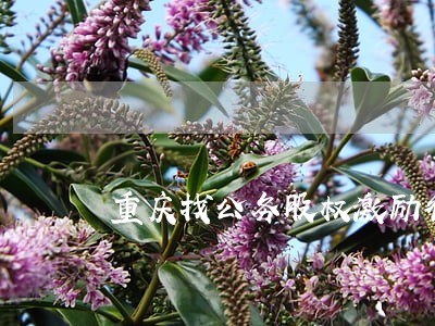 重庆找公务股权激励律师 重庆找公务股权激励律师
