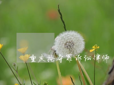重庆抢夺罪诉讼律师 重庆抢夺罪诉讼律师