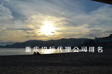 重庆招标代理公司排名 重庆招标代理公司排名