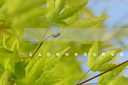 重庆招联好期贷逾期处理方法 重庆招联好期贷逾期处理方法
