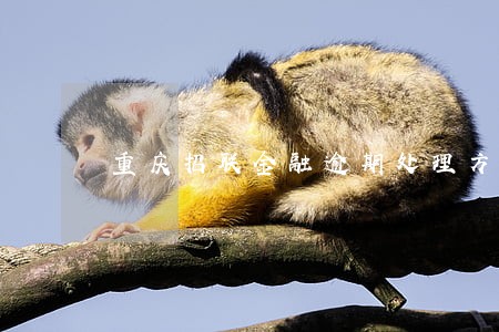 重庆招联金融逾期处理方法 重庆招联金融逾期处理方法