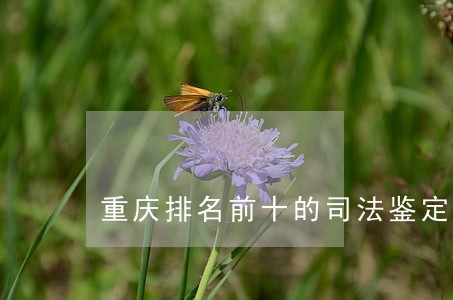 重庆排名前十的司法鉴定中心 重庆排名前十的司法鉴定中心