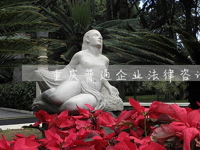 重庆普通企业法律咨询 重庆普通企业法律咨询