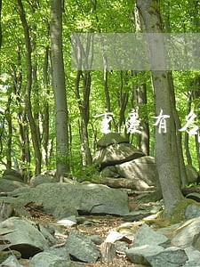 重庆有名的离婚律师 重庆有名的离婚律师