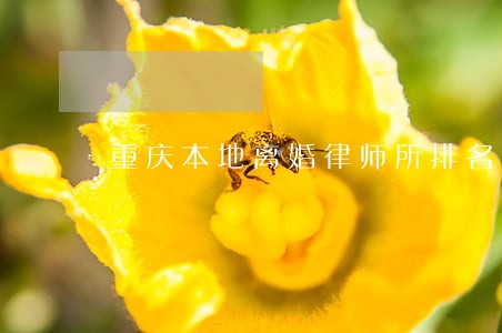 重庆本地离婚律师所排名 重庆本地离婚律师所排名
