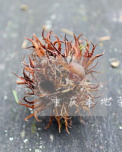 重庆本地荣昌区债务追讨律师 重庆本地荣昌区债务追讨律师