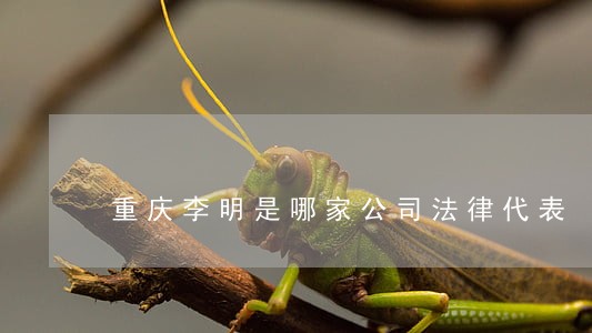 重庆李明是哪家公司法律代表 重庆李明是哪家公司法律代表