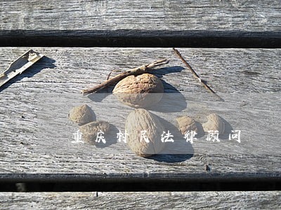 重庆村民法律顾问 重庆村民法律顾问