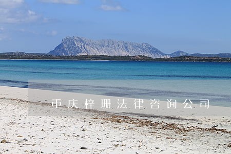 重庆梓珊法律咨询公司 重庆梓珊法律咨询公司