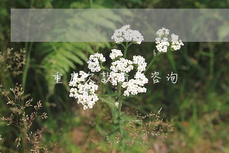 重庆欠款逾期咨询 重庆欠款逾期咨询