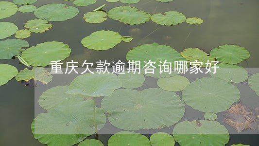 重庆欠款逾期咨询哪家好 重庆欠款逾期咨询哪家好