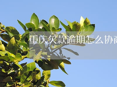 重庆欠款逾期怎么协商 重庆欠款逾期怎么协商