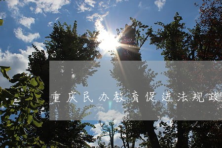 重庆民办教育促进法规政策 重庆民办教育促进法规政策