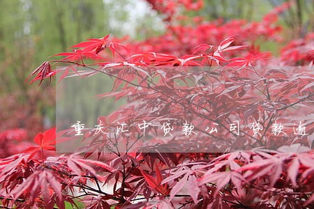 重庆汇中贷款公司贷款逾期 重庆汇中贷款公司贷款逾期
