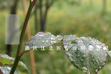 重庆江北区专业刑事会见律师 重庆江北区专业刑事会见律师