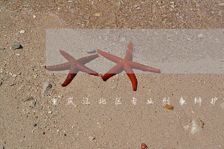 重庆江北区专业刑事辩护律师 重庆江北区专业刑事辩护律师