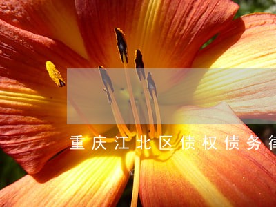 重庆江北区债权债务律师价格 重庆江北区债权债务律师价格