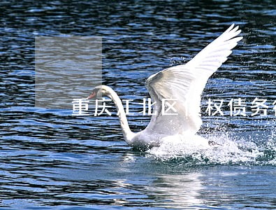 重庆江北区债权债务律师推荐 重庆江北区债权债务律师推荐