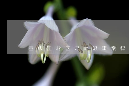 重庆江北区寻衅滋事案律师费用