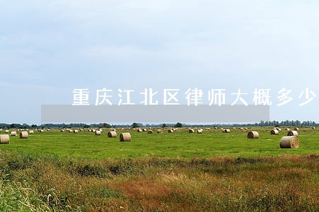 重庆江北区律师大概多少钱