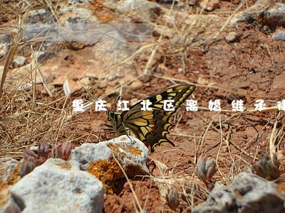 重庆江北区离婚继承律师费用标准 重庆江北区离婚继承律师费用标准