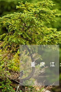重庆江北离婚律师在线咨询 重庆江北离婚律师在线咨询
