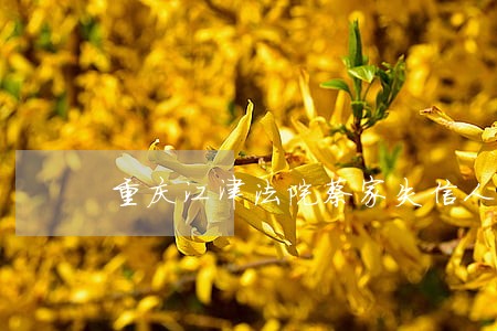 重庆江津法院蔡家失信人 重庆江津法院蔡家失信人