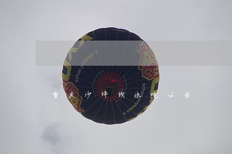 重庆沙坪坝法院公告 重庆沙坪坝法院公告